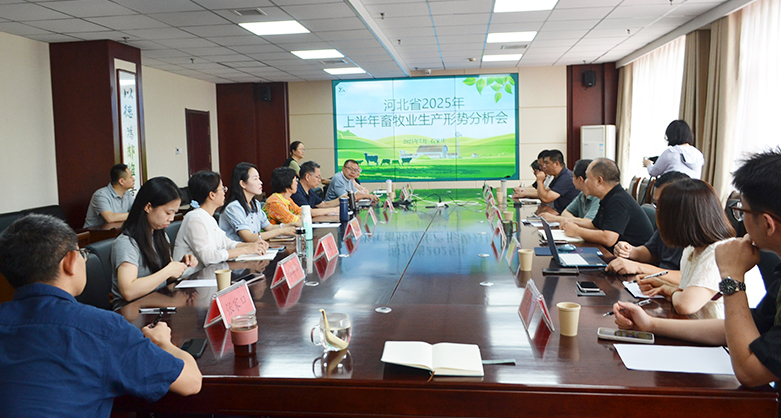 2025上半年河北省畜牧業(yè)生產(chǎn)形勢(shì)分析會(huì) 在石家莊舉辦