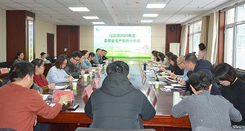 河北省2025年度畜牧業(yè)生產(chǎn)形勢(shì)分析會(huì)在石家莊市召開(kāi)